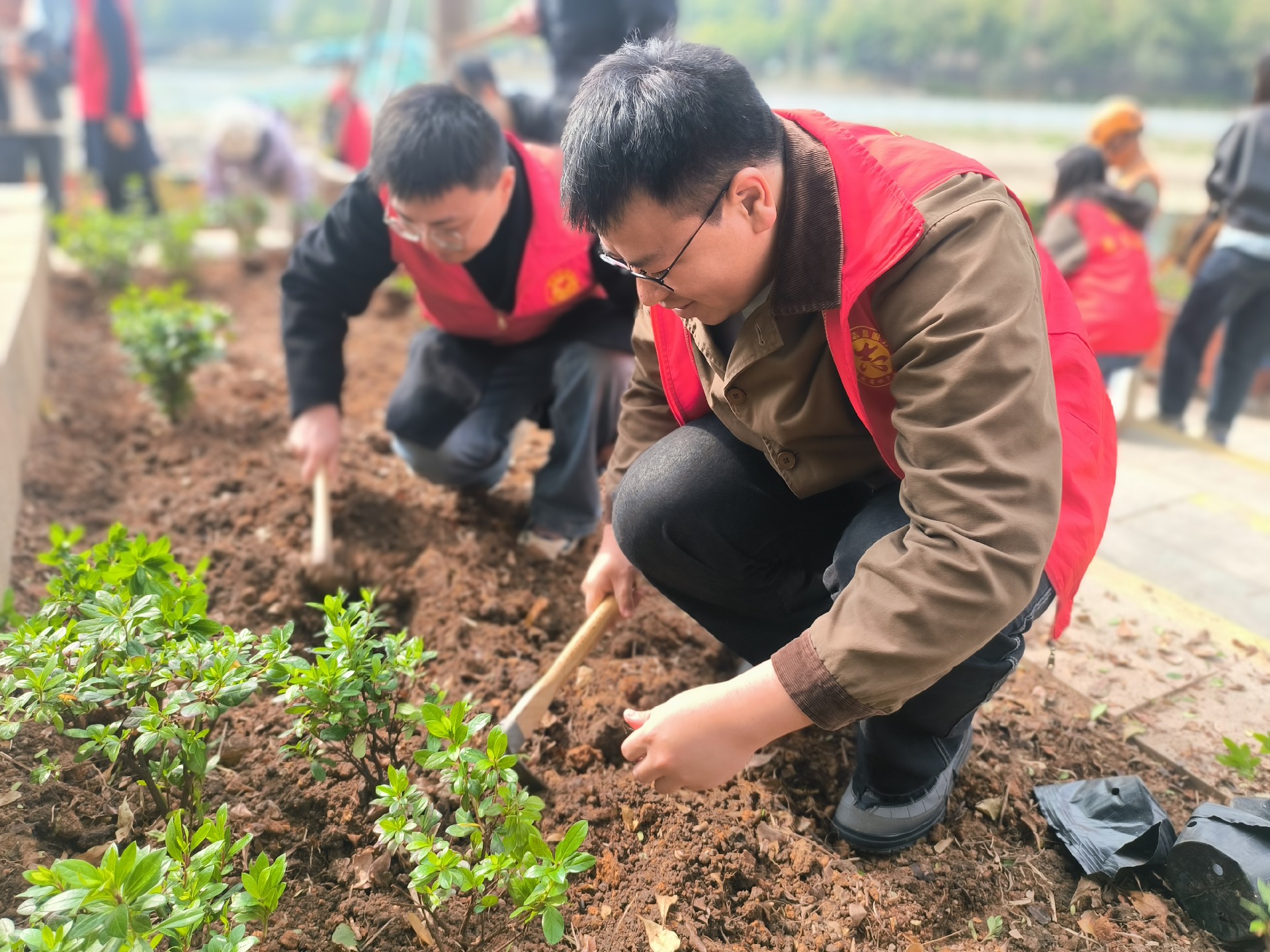 1741831782209849.jpg 1741831782209849.jpg